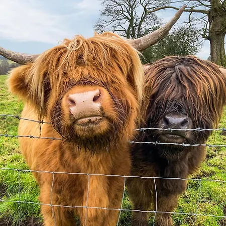 Whitehill Barn - Uk47195