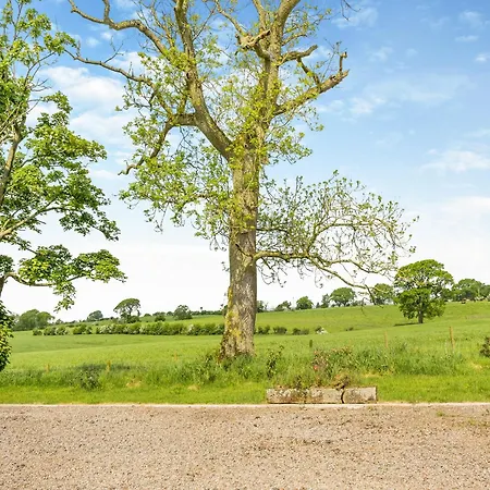 Whitehill Barn - Uk47195 *