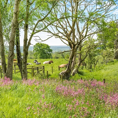 Whitehill Barn - Uk47195 Дом отдыха *