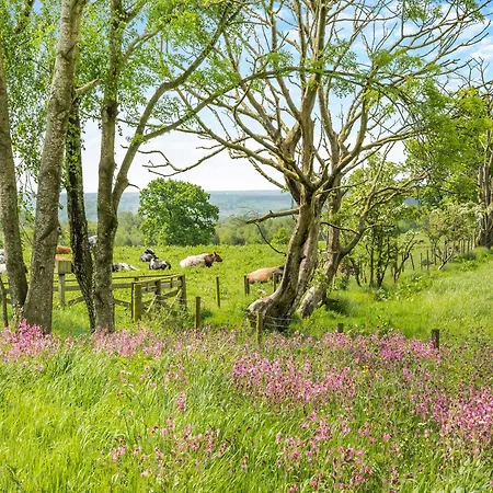 Whitehill Barn - Uk47195 Kirkcambeck